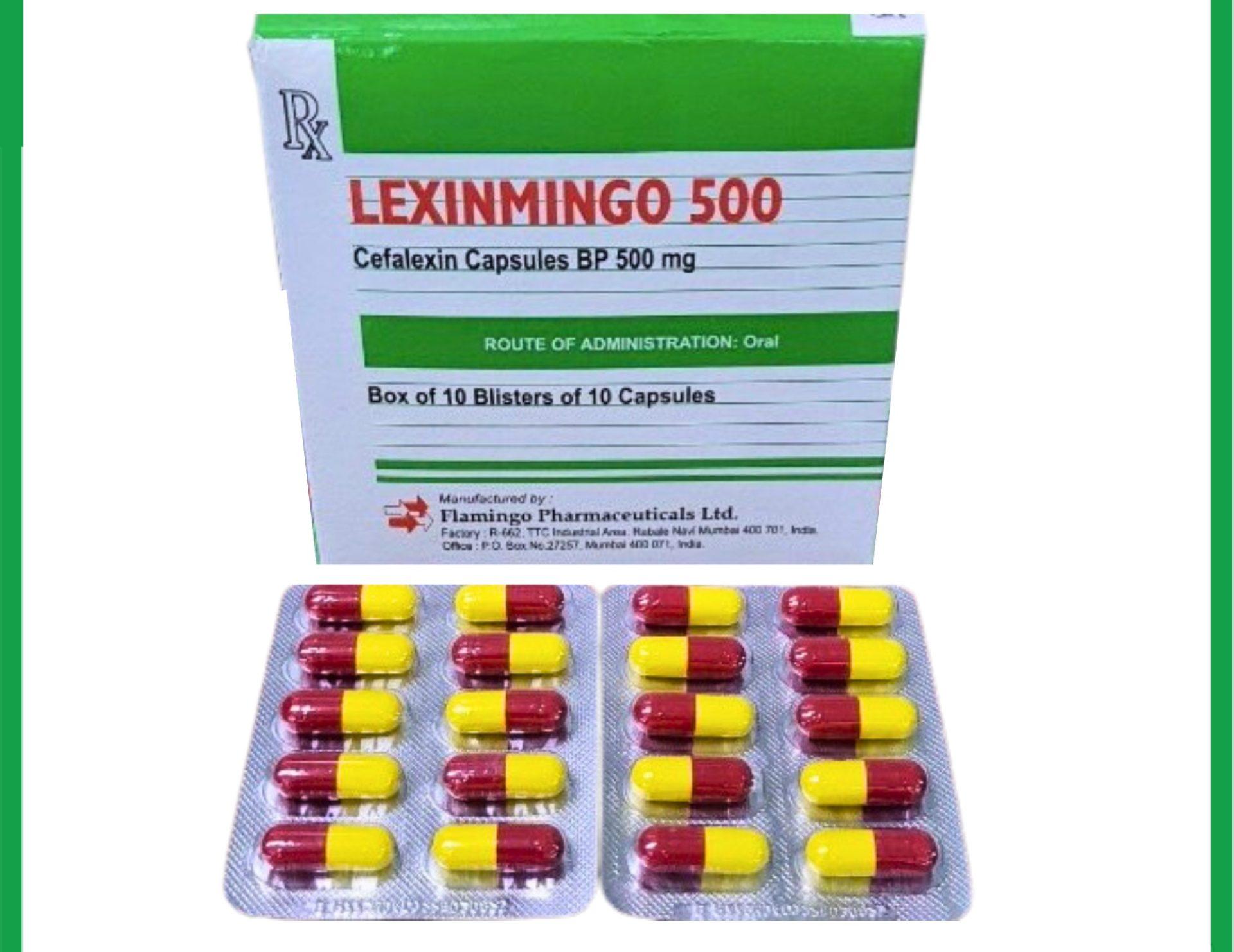 10_hop_-_2023-06-02t154159.036_0.jpg Nhà Thuốc Thành Hương - 10 hop 2023 06 02t154159.036 0