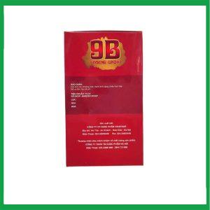 Nhà Thuốc Thành Hương - 9B Ginseng 2