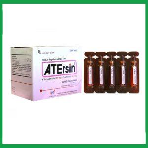 Nhà Thuốc Thành Hương - Dung dịch uống Atersin An Thiên long đờm, giảm ho do hen phế quản, viêm phế quản (30 ống x 5ml) 2 Nhà Thuốc Thành Hương - ATErsin1