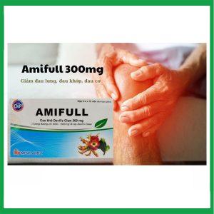 Nhà Thuốc Thành Hương - Thuốc Amifull 300mg Mediplantex giúp giảm đau lưng, đau khớp, đau cơ (6 vỉ x 10 viên) 1 Nhà Thuốc Thành Hương - Amifull 1