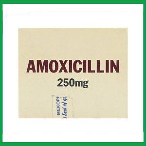 Nhà Thuốc Thành Hương - Amoxicillin 250mg Mekophar 3 1
