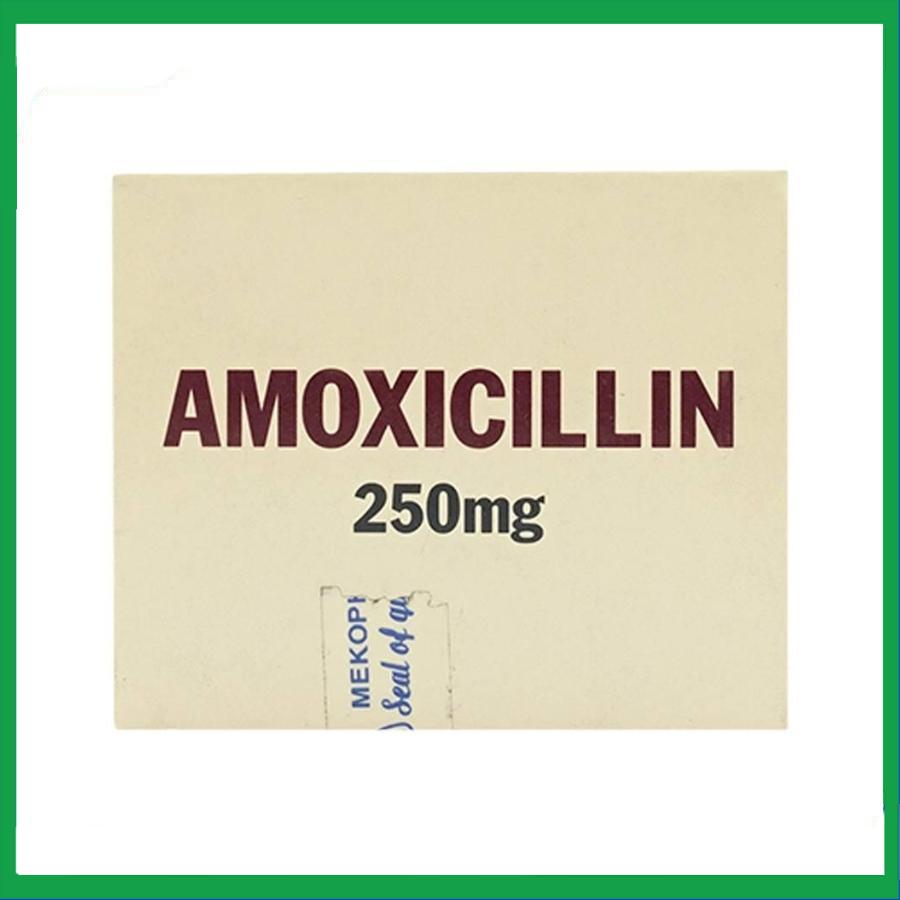 Amoxicillin-250mg-Mekophar-3-1.jpg Nhà Thuốc Thành Hương - Amoxicillin 250mg Mekophar 3 1