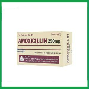 Thuốc Amoxicillin 250mg Mekophar điều trị nhiễm khuẩn (10 vỉ x 10 viên)
