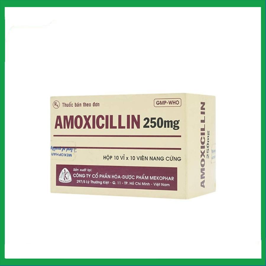 Amoxicillin-250mg-Mekophar.jpg Nhà Thuốc Thành Hương - Amoxicillin 250mg Mekophar