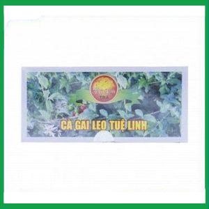 Nhà Thuốc Thành Hương - Ca Gai Leo Tue Linh
