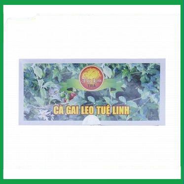 Ca-Gai-Leo-Tue-Linh.jpg Nhà Thuốc Thành Hương - Ca Gai Leo Tue Linh