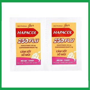 Nhà Thuốc Thành Hương - Hapacol 250 Flu 1