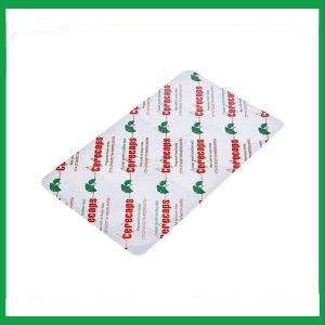 Nhà Thuốc Thành Hương - Hoat huyet duong nao Cerecaps2