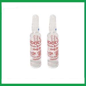 Nhà Thuốc Thành Hương - Dung dịch tiêm Lidocain 40mg/2ml Vinphaco gây tê tại chỗ niêm mạc trước (100 ống x 2ml) 1 Nhà Thuốc Thành Hương - Lidocain tiem 40mg 2ml 2