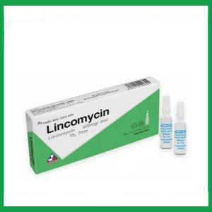 Dung dịch tiêm Lincomycin 600mg/2ml Vinphaco trị nhiễm khuẩn xương, phụ khoa (1 vỉ x 10 ống)