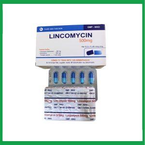 Nhà Thuốc Thành Hương - Lincomycin 500mg Armephaco 1