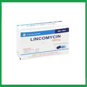 Thuốc kháng sinh LINCOMYCIN 500mg (Armephaco) điều trị nhiễm khuẩn hộp 10 vỉ x 10 viên
