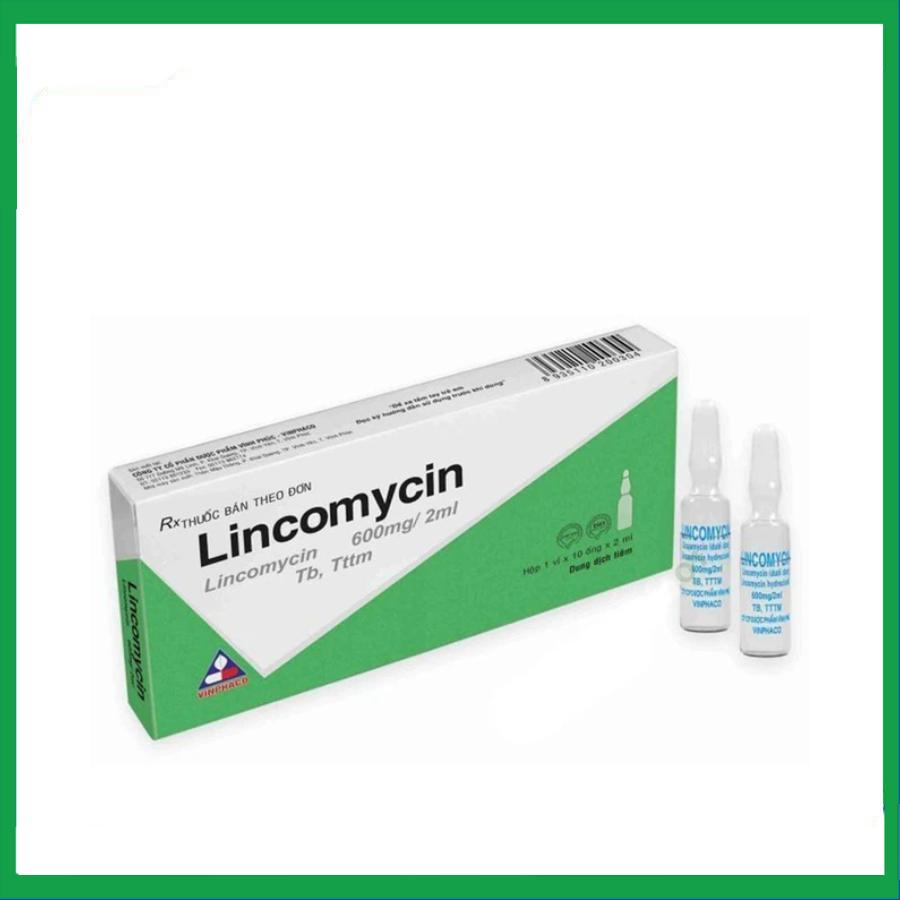 Lincomycin.jpg Nhà Thuốc Thành Hương - Lincomycin