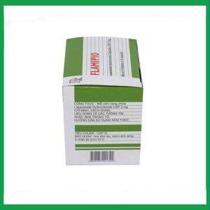 Nhà Thuốc Thành Hương - Loperamide Flamipio 2