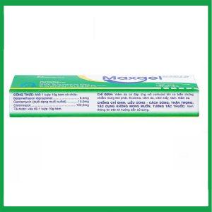 Nhà Thuốc Thành Hương - Kem bôi da Maxgel SPM điều trị viêm da, viêm trầy, hăm, nấm da (10g) 2 Nhà Thuốc Thành Hương - Maxgel1