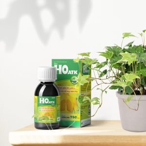 Nhà Thuốc Thành Hương - Siro Ho ATK - hỗ trợ giảm đau rát họng, hỗ trợ bổ phế, giảm đờm, giảm ho 4 Nhà Thuốc Thành Hương - Mockup HO copy