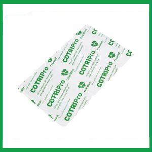 Nhà Thuốc Thành Hương - Viên uống Cotripro Thái Minh hỗ trợ tăng sức bền thành mạch, giảm triệu chứng của trĩ (2 vỉ x 10 viên) 1 Nhà Thuốc Thành Hương - Smart pharma 2024 11 28T195757.088