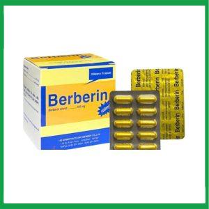 Nhà Thuốc Thành Hương - Thuốc Berberin 100mg Armephaco điều trị nhiễm khuẩn đường ruột, tiêu chảy, kiết lỵ (Hộp 10 vỉ x10 viên) 1 Nhà Thuốc Thành Hương - Smart pharma 2024 12 24T124256.846