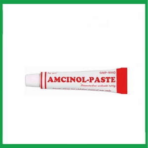 Nhà Thuốc Thành Hương - Gel Amcinol - Paste trị viêm miệng, lợi và môi ( Hộp 1 tuýp 5g) 1 Nhà Thuốc Thành Hương - Smart pharma 2025 01 01T153429.343