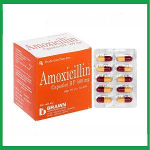 Thuốc Amoxicillin 500mg Brown Burk điều trị nhiễm khuẩn (10 vỉ x 10 viên)