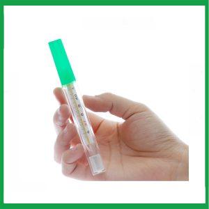 Nhà Thuốc Thành Hương - Nhiệt kế thủy ngân Tokyo đo thân nhiệt có vạch chia độ rõ nét (12 Cái) 1 Nhà Thuốc Thành Hương - Smart pharma 2025 01 19T154825.981