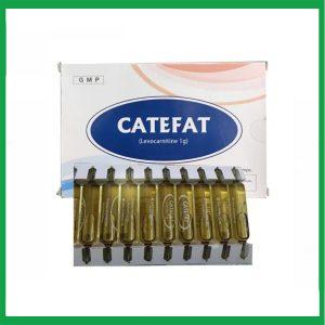 Nhà Thuốc Thành Hương - Dung dịch uống Catefat Cho-A điều trị đau thắt ngực, nhồi máu cơ tim ( Hộp 20 ống) 1 Nhà Thuốc Thành Hương - Smart pharma 2025 03 29T173507.179