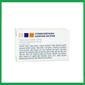 Nhà Thuốc Thành Hương - Thuốc tiêm Hydrocortison - Lidocain - Richter kháng viêm và ức chế miễn dịch ( Hộp 1 lọ) 1 Nhà Thuốc Thành Hương - Smart pharma 2025 04 18T114223.160