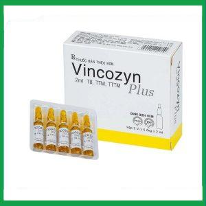 Nhà Thuốc Thành Hương - Dung dịch Vincozyn Plus Vinphaco phòng ngừa và điều trị các bệnh thiếu Vitamin B (2 vỉ x 5 ống x 2ml) 1 Nhà Thuốc Thành Hương - Thiet ke chua co ten 29