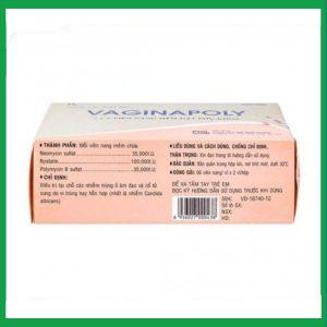 Nhà Thuốc Thành Hương - Viên đặt phụ khoa Vaginapoly điều trị nhiễm trùng ở âm đạo (2 vỉ x 6 viên) 2 Nhà Thuốc Thành Hương - Vaginapoly 3