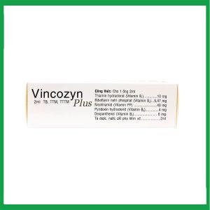 Nhà Thuốc Thành Hương - Dung dịch Vincozyn Plus Vinphaco phòng ngừa và điều trị các bệnh thiếu Vitamin B (Hộp 1 vỉ x 10 ống x 2ml ) 1 Nhà Thuốc Thành Hương - Vincozyn plus 1vi x10 ong 2