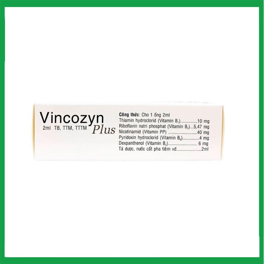 Vincozyn-plus-1vi-x10-ong-2.jpg Nhà Thuốc Thành Hương - Vincozyn plus 1vi x10 ong 2