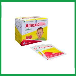 Nhà Thuốc Thành Hương - amoxicillin. 2