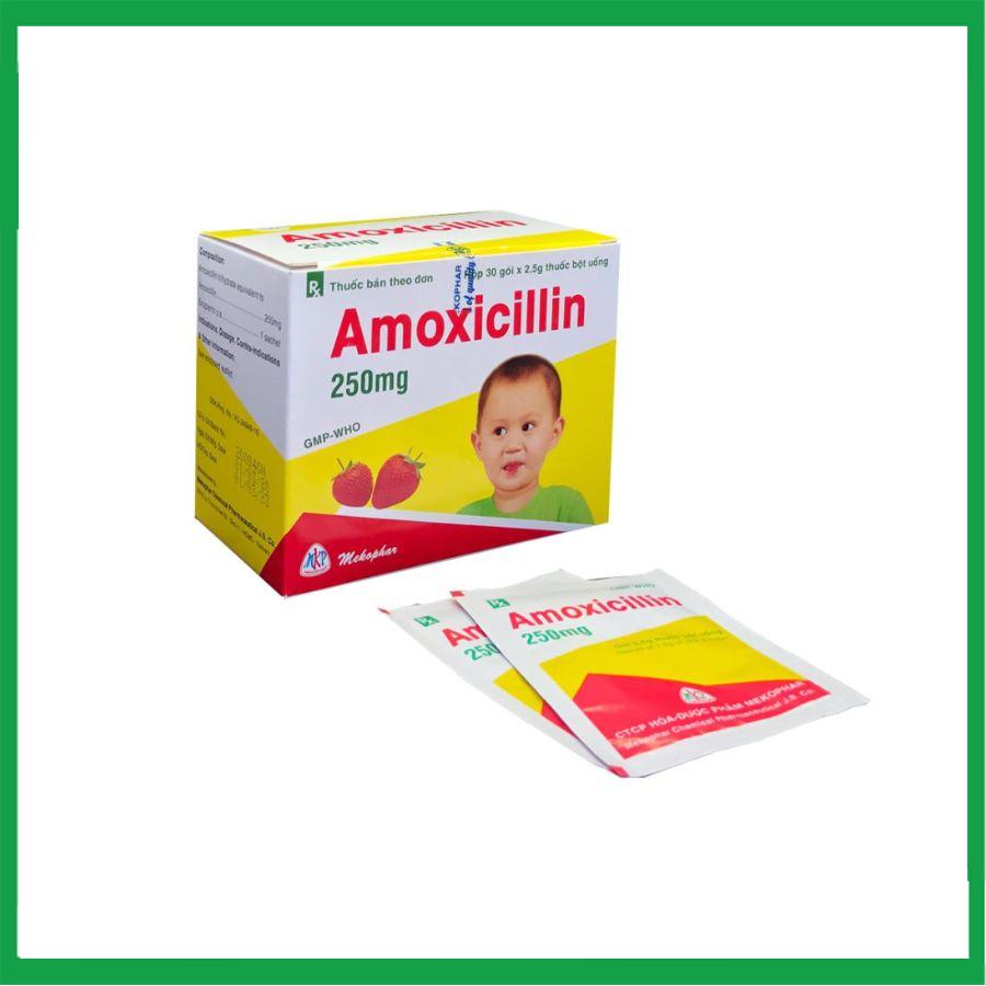 amoxicillin.-2.jpg Nhà Thuốc Thành Hương - amoxicillin. 2