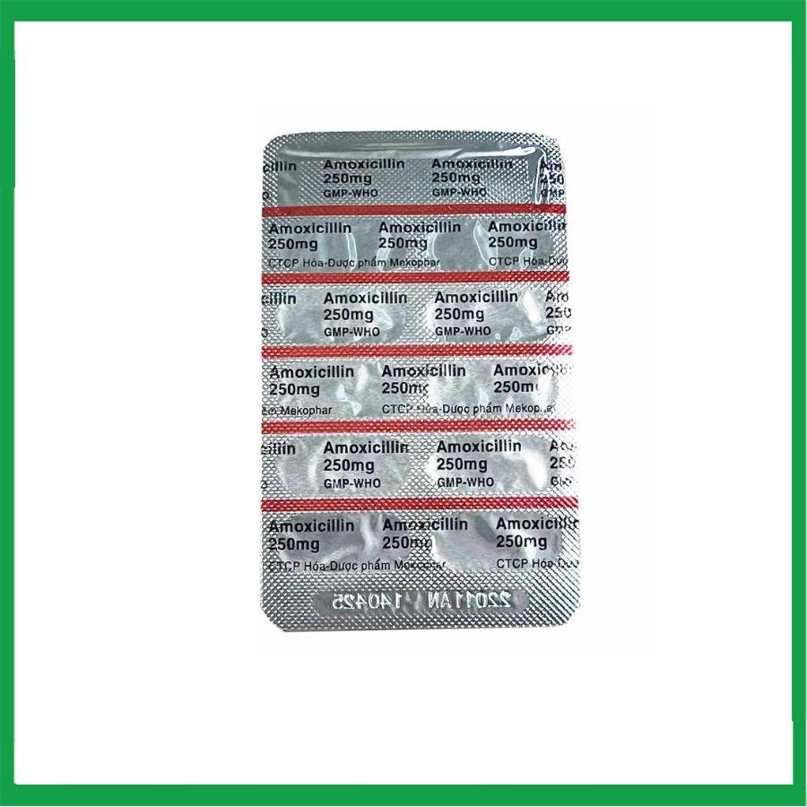 amoxicillin.1-1.jpg Nhà Thuốc Thành Hương - amoxicillin.1 1