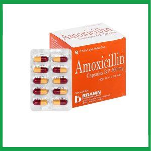 Nhà Thuốc Thành Hương - amoxicillin.1 2