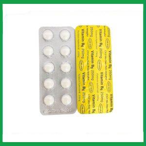 Nhà Thuốc Thành Hương - Thuốc Vitamin B6 250mg Mekophar điều trị thiếu hụt Vitamin B6 (10 vỉ x 10 viên) 3 Nhà Thuốc Thành Hương - fb 2 2024 07 08T160608.901