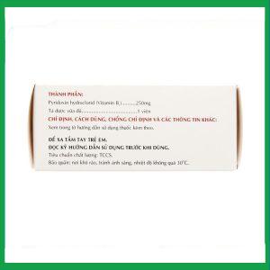 Nhà Thuốc Thành Hương - Thuốc Vitamin B6 250mg Mekophar điều trị thiếu hụt Vitamin B6 (10 vỉ x 10 viên) 2 Nhà Thuốc Thành Hương - fb 2 2024 07 08T160710.256