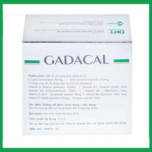 Nhà Thuốc Thành Hương - Dung dịch uống Gadacal Hà Tây bổ sung Calci, Lysin và các Vitamin (20 ống x 10ml) 1 Nhà Thuốc Thành Hương - fb 2 64
