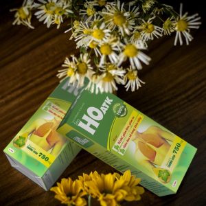 Nhà Thuốc Thành Hương - Siro Ho ATK - hỗ trợ giảm đau rát họng, hỗ trợ bổ phế, giảm đờm, giảm ho 6 Nhà Thuốc Thành Hương - sam cau scaled copy