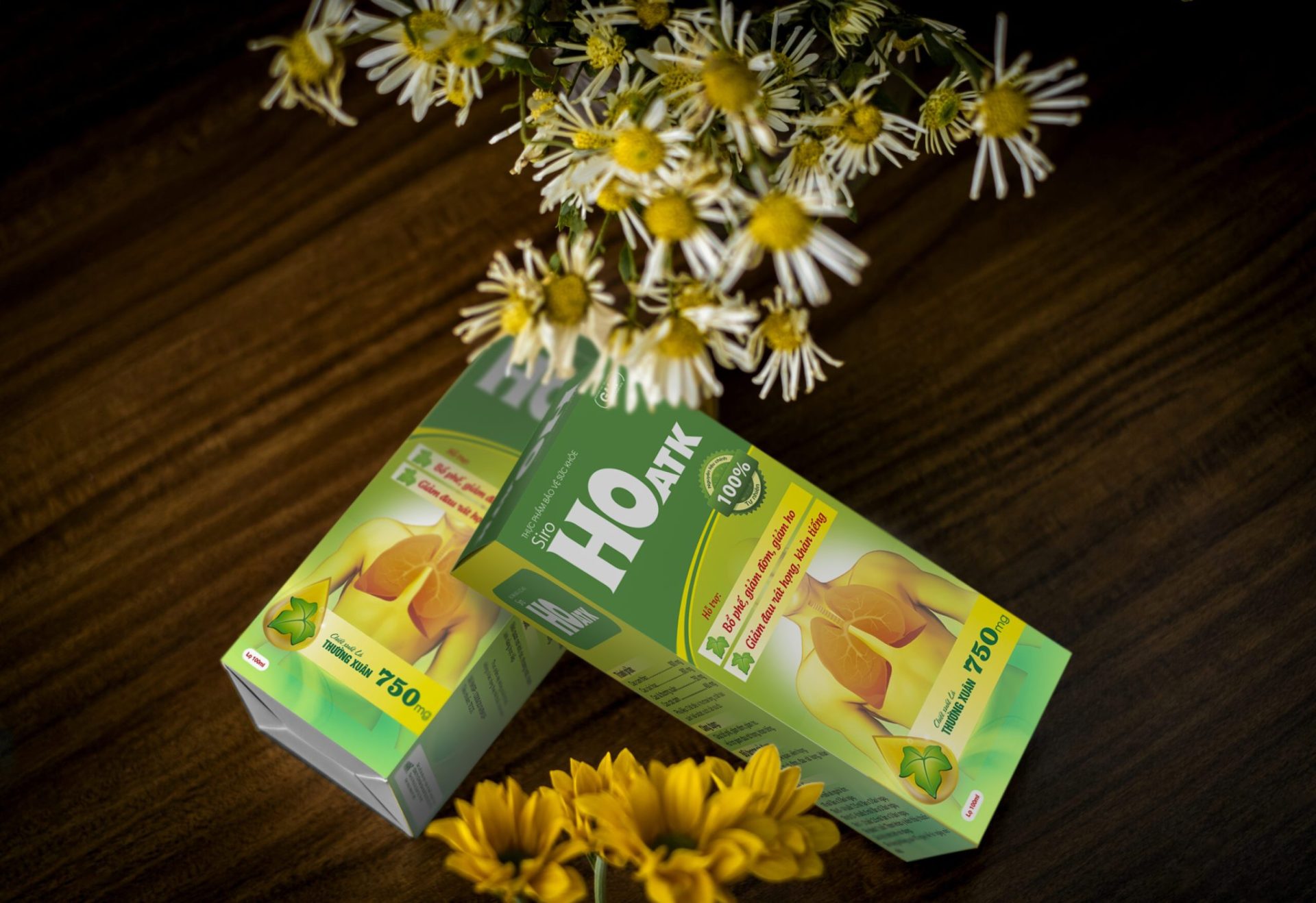 sam-cau-scaled-copy.jpg Nhà Thuốc Thành Hương - sam cau scaled copy