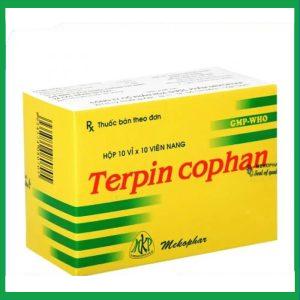 Viên nang Terpin Cophan 100mg trị ho, tiêu đờm (10 vỉ x 10 viên)